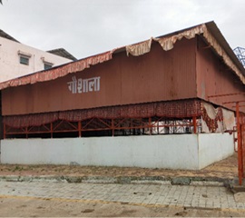 img25